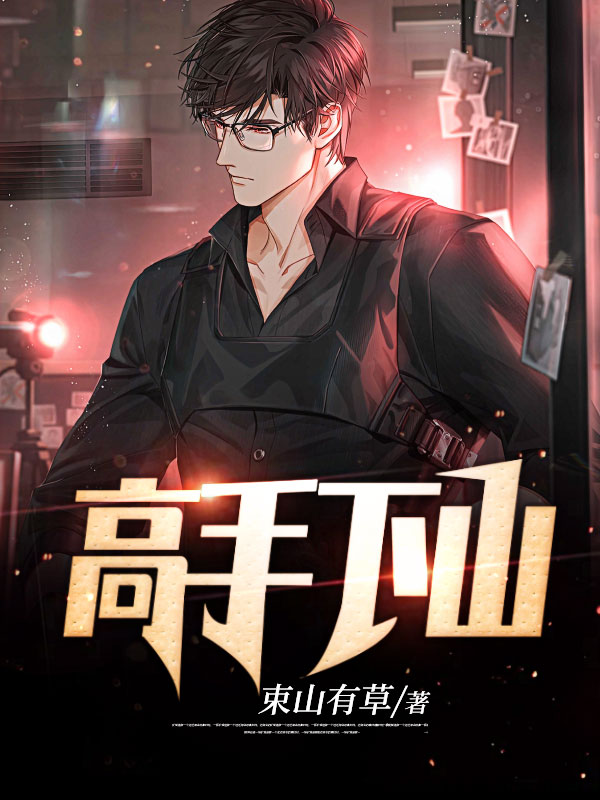 《高手下山》秦阳小说全文TXT免费下载